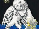 Songs: Ohia Magnolia Electric Company 2xLP vinyl record sealed 10th anniversary