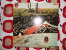 Spring RCA Neon Triple foldout sleeve - BOOTLEG LP