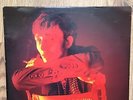 These Immortal Souls - I'm Never Gonna Die Again - VINYL LP - Rowland S Howard