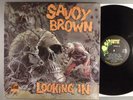 Savoy Brown  Looking In