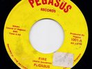 Pegasus US 45 * Fire * Psych Funk 1973 Garage