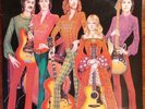 Fotheringay - Fotheringay. HNBL 4426. EX/VG. Sandy Denny. Vinyl Record LP.