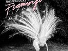 Peacocks-Flamingo - PEACOCKS THE [LP]