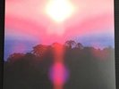 Grouper - Paradise Valley - 7