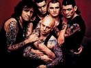 ROSE TATTOO-SCARRED FOR LIFE (OGV) (GER)  VINYL LP NEW