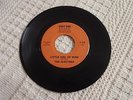 THE ELECTRAS  LITTLE GIRL OF MINE/MARY MARY  RUBY-DOO 2