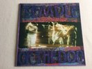 TEMPLE OF THE DOG - SELF TITLED - RARE BLUE VINYL LP, GRUNGE, Soundgarden