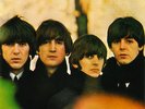 THE BEATLES Beatles For Sale 2012 UK 180g vinyl stereo LP SEALED / NEW