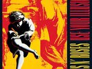 Guns N Roses Use Your Illusion 1 2 LP Set 180G Vinyl New Sealed