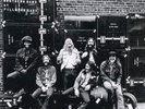 The Allman Brothers Band: At Fillmore East * 180g Vinyl 2 LP Set Mobile Fidelity