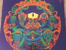 Grateful Dead - Anthem Of The Sun - Vinyl LP WS 1749 Near Mint (NM)