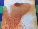 pink floyd MEDDLE UK Pressing MINT/MINT Textured cover Echoes/One of These Days