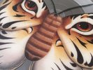 Talk Talk - Living in Another World - Picture Disc - 1986 EMI P5551