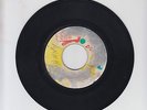 IRON SIDE/ ROCK FORT ROCK  -  THE NEW ESTABLISHMENT (73 REGGAE INSTRUMENTAL 7