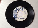 The Metaphors SWEET NORTHERN SOUL 45 Come On Back / You Have Everything RAD