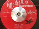R&B 45 Young Jessie - I Smell a Rat / Lonesome Desert (Modern) HEAR