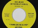 70s Soul 45 - Rudi Stuart - I Wanna Love You All Over - Delmar - VG+ mp3