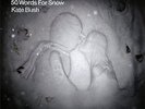 KATE BUSH 50 WORDS FOR SNOW - DOUBLE VINYL LP - MINT AND UNPLAYED  EU PRESSING