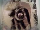 Lp Ennio Morricone Spasmo Picture Disc X Ray Version Colonna Sonora Lenzi Film