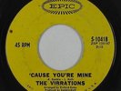 Northern Soul 45 - Vibrations - 'Cause You're Mine - Epic - mp3