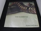 The Habibiyya If Man But Knew 1972 Island Records Vinyl Islam Muslim