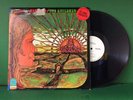 The Children - Rebirth LP | Atco SD 33-271 | WLP PROMO | VG+ Psych Rock