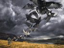 David Gilmour - Rattle That Lock