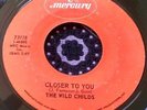 Wild Fuzz Garage Punk Acid Psych Organ 45 The Wild Childs Closer To You NM HEAR