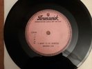 BRENDA LEE-I WANT TO BE WANTED  BRUNSWICK DEMO/THE DRIFTERS- LAST DANCE LONDON D