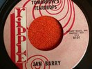 JAN BARRY Berry Tomorrow's Teardrops JAN & DEAN Ripple RARE