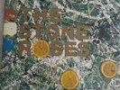 the stone roses vinyl album with 7 inch demo