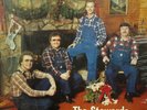 The Stewards A Country Christmas Elkton Virginia rare lp record album guitar