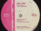 THE RADICALS - RUM TREE - BLUE TRAC ( DIGI 12 )