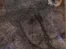 BOSS HOG - Brood X - Vinyl (LP + MP3 download code)