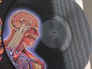 TOOL LATERALUS DOUBLE VINYL PICTURE DISC LPS WITH GATEFOLD COVER