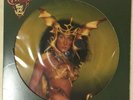 Cher Take Me Home LP Picture Disc Casablanca NBPIX 7133 NM/VG+ (34)