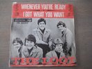 THE LOOT - WHENEVER YOU'RE READY / I GOT WHAT YOU WANT  FREAKBEAT MOD