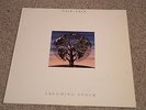 Talk Talk ?– Laughing Stock Vinyl