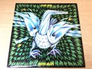 EX-/EX-   Rare Bird/Born Again/1974 Polydor LP