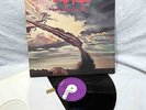 LP – DEEP PURPLE / STORMBRINGER / TOP