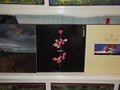 Depeche Mode 1982/1990/1987-3 Alben-A broken Frame,Violator,Music for the Masses
