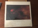 Cocteau Twins 'VictoriaLand' LP  w/ Insert