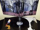 The Offspring ?– Days Go By LP record  Not nemesis Not singed