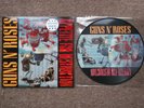 GUNS N ROSES APPETITE FOR DESTRUCTION (LIMITED EDITION PICTURE DISC VINYL) LP