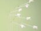 Good News for People Who Love Bad News by Modest Mouse (Vinyl, Apr-2004, Epic...
