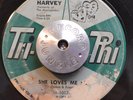 DOO WOP 45 - HARVEY - SHE LOVES ME SO /ANY WAY YOU WANTA Tri-Phi R&B HEAR