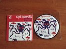 SYD BARRETT OCTOPUS/GOLDEN HAIR PICTURE DISC 7 