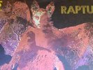 Count Down 45, Raptus rare disco funk boogie library ORIGINAL  Italy Vampire