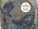 STONE TEMPLE PILOTS READING '93 RARE Vinyl Record Picture Disc