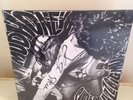 Mudhoney LP Superfuzz Bigmuff